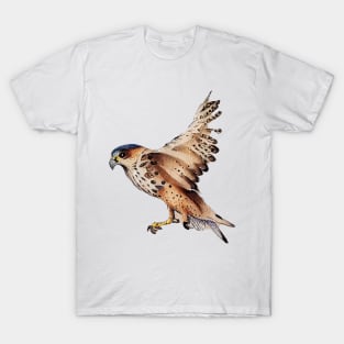 Kestrel flying T-Shirt